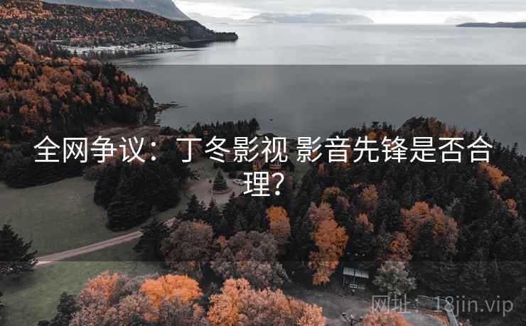 全网争议：丁冬影视 影音先锋是否合理？  第1张